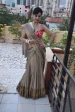 kavita verma dandia shoot in Mumbai on 4th Oct 2013 (16).JPG